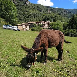 Mas La Cabanya Xalet De Muntanya Beget